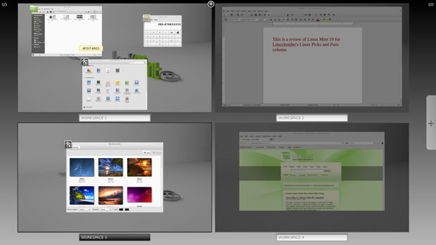 Linux Mint 17 Expo display