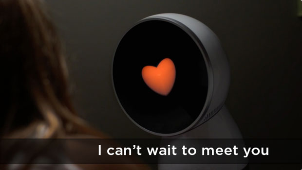 jibo can't wait to meet you