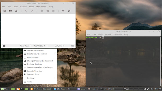Linux Mint Debian screen shot