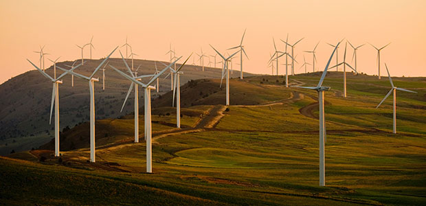wind farms are the primary currency of the green power market