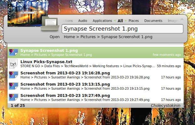 Synapse Search and Launch Utility