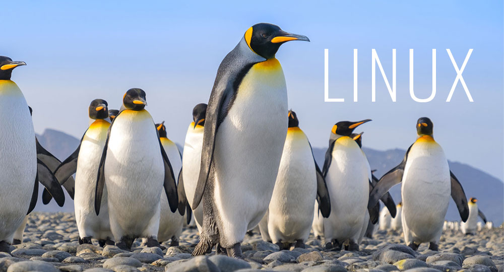 Not All Linux Systems Are Created Equal, but They're All Equally Linux
